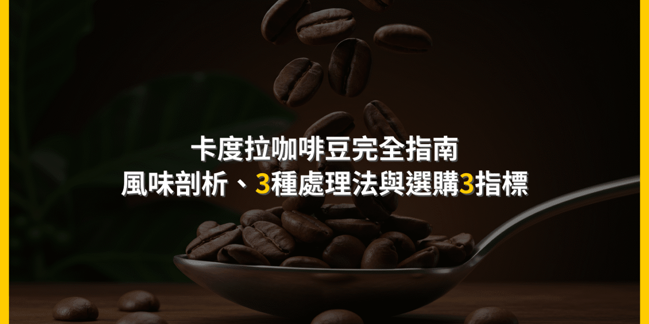 卡度拉咖啡豆完全指南：風味剖析、3種處理法與選購3指標