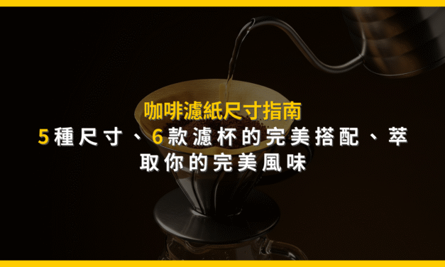 咖啡濾紙尺寸指南：5種尺寸、6款濾杯的完美搭配，萃取你的完美風味