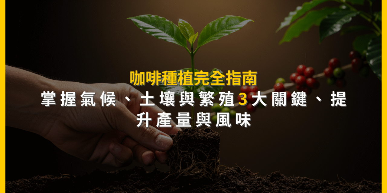 咖啡種植完全指南：掌握氣候、土壤與繁殖3大關鍵，提升產量與風味
