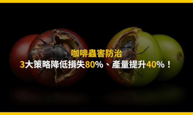 咖啡蟲害防治：3大策略降低損失80%，產量提升40%！