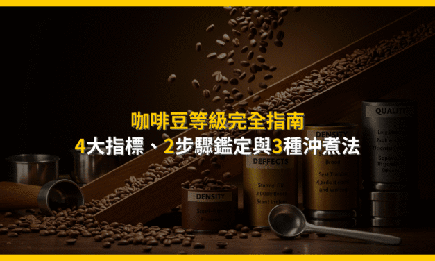 咖啡豆等級完全指南：4大指標、2步驟鑑定與3種沖煮法