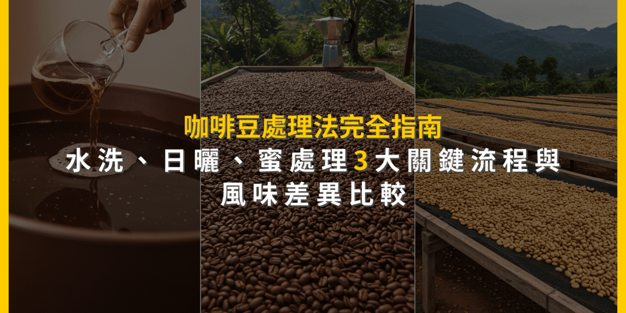 咖啡豆處理法完全指南：水洗、日曬、蜜處理3大關鍵流程與風味差異比較