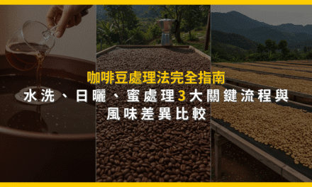 咖啡豆處理法完全指南：水洗、日曬、蜜處理3大關鍵流程與風味差異比較