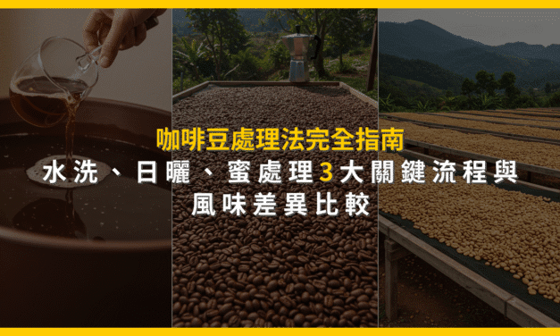 咖啡豆處理法完全指南：水洗、日曬、蜜處理3大關鍵流程與風味差異比較