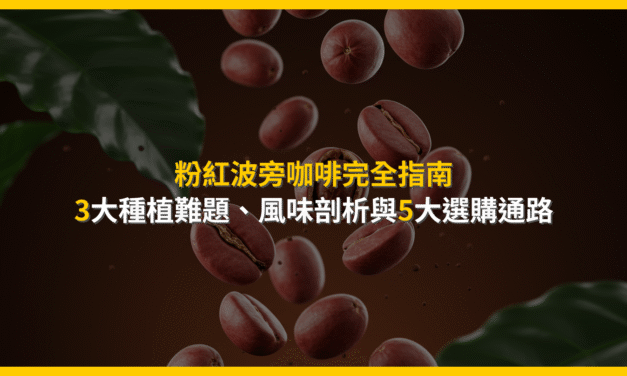 粉紅波旁咖啡完全指南：3大種植難題、風味剖析與5大選購通路