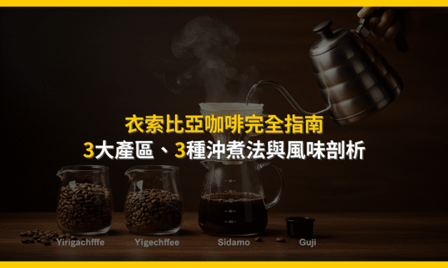 衣索比亞咖啡完全指南：3大產區、3種沖煮法與風味剖析