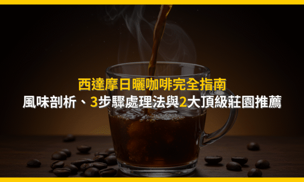西達摩日曬咖啡完全指南：風味剖析、3步驟處理法與2大頂級莊園推薦
